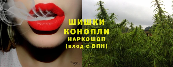 MESCALINE Белокуриха