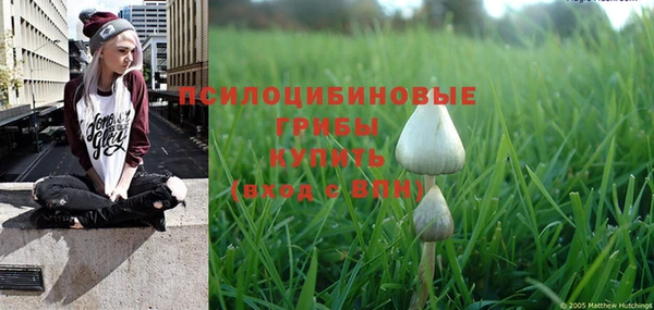 MESCALINE Белокуриха