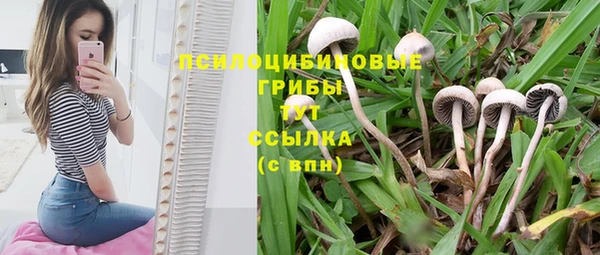 ешки Беломорск